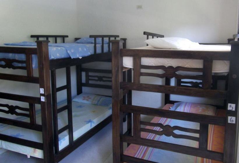 تختخواب در اتاق مشترک, La Masia Hostal