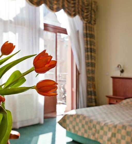 اتاق استاندارد, Spa Hotel čajkovskij