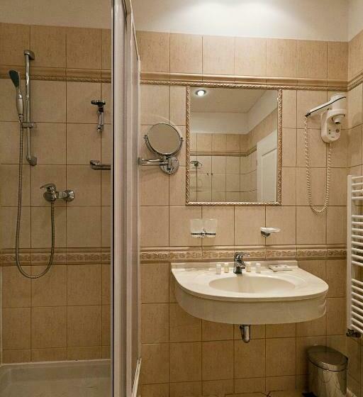 اتاق استاندارد, Spa Hotel čajkovskij