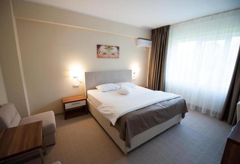 اتاق استاندارد, Bruxelles Guesthouse Craiova