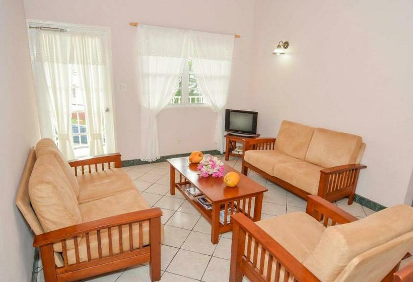 آپارتمان 1 خوابه, Caribbean Inn And Suites