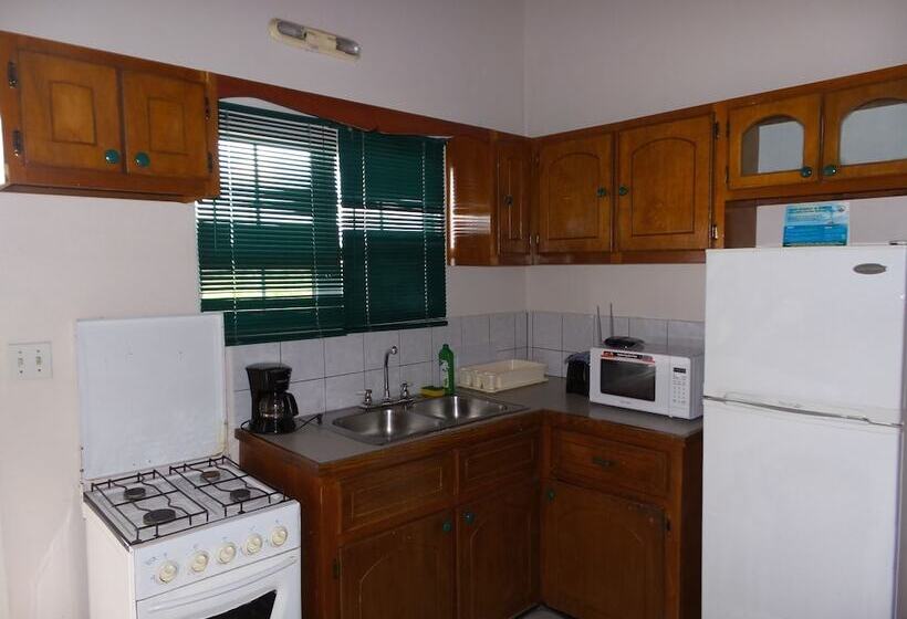 آپارتمان 2 خوابه, Caribbean Inn And Suites