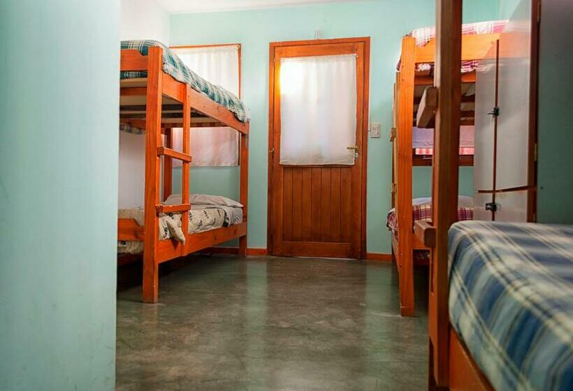 غرفة قياسية رباعية, Hostel Los Cormoranes