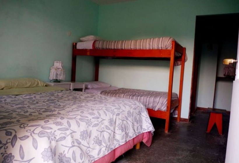 غرفة قياسية رباعية, Hostel Los Cormoranes