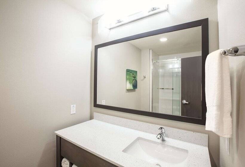 اتاق استاندارد با تخت دوبل برای معلولان, La Quinta Inn & Suites By Wyndham Tulsa Broken Arrow