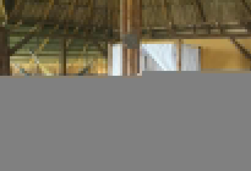 اتاق لوکس, Minca Ecohabs