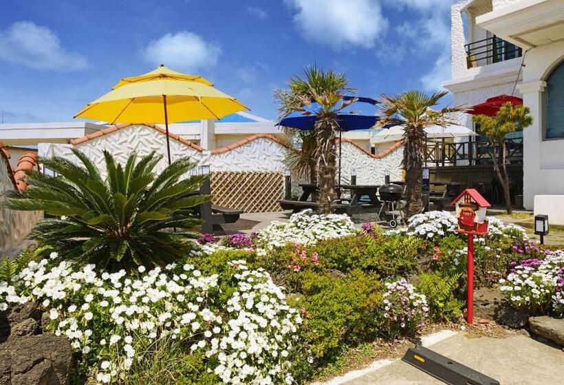 اتاق لوکس, Pension Haneul Tari