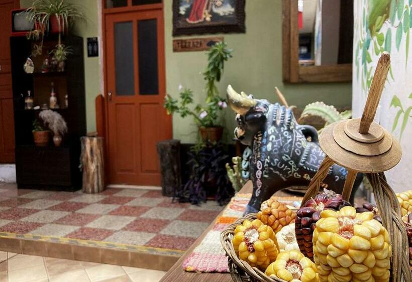 اتاق استاندارد, Eco Home View   Guest House
