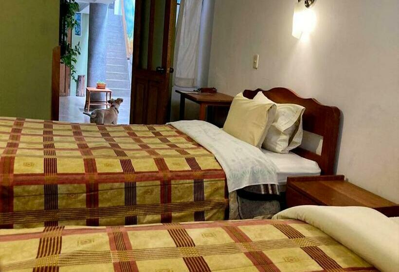 اتاق استاندارد سه نفره, Eco Home View   Guest House