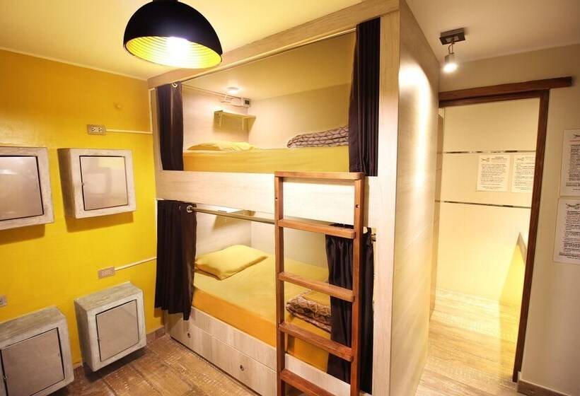 تختخواب در اتاق مشترک, Banana S Adventure Hostel