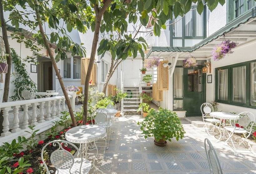 اتاق لوکس, Aya Butik Otel