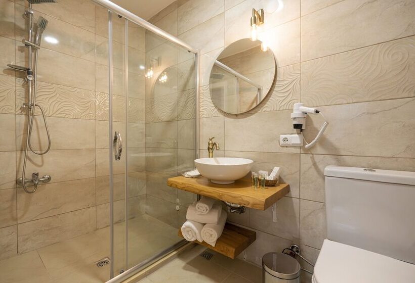 اتاق لوکس, Aya Butik Otel