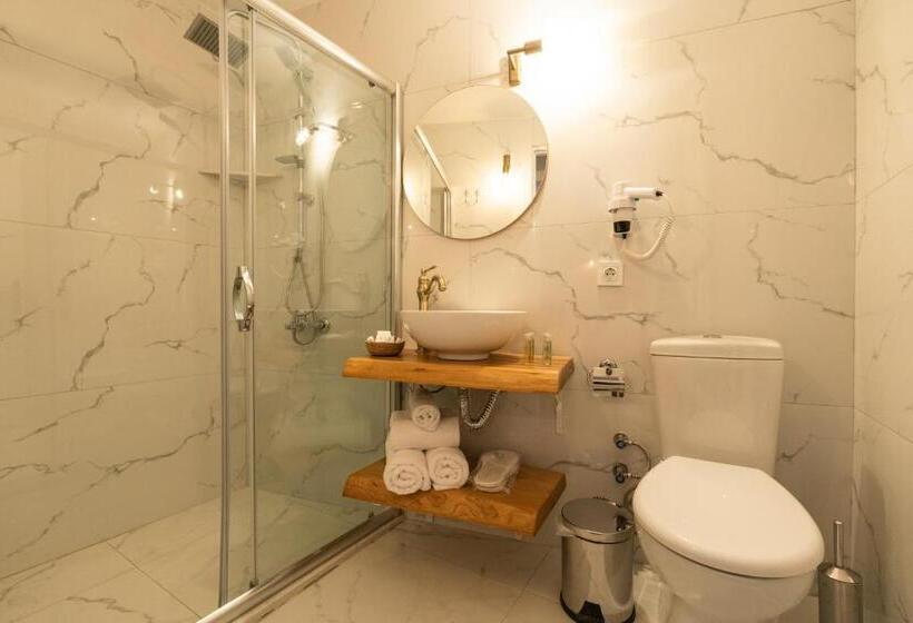 اتاق استاندارد در طبقه همکف, Aya Butik Otel