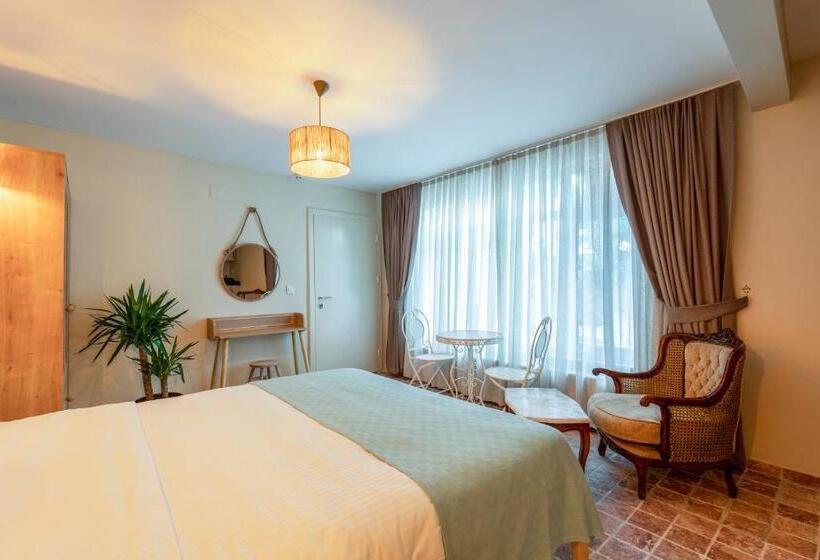 اتاق استاندارد در طبقه همکف, Aya Butik Otel
