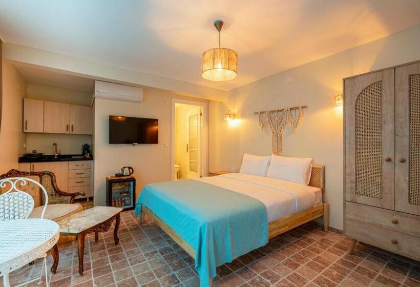 اتاق استاندارد در طبقه همکف, Aya Butik Otel