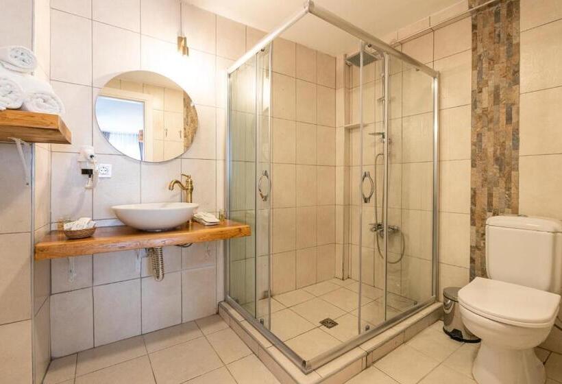 اتاق استاندارد در طبقه همکف, Aya Butik Otel