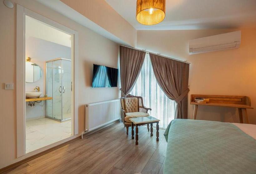 اتاق لوکس, Aya Butik Otel