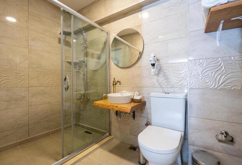 اتاق لوکس, Aya Butik Otel