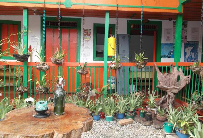 اتاق لوکس, Hostal Estrella De Agua