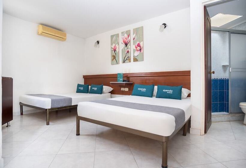 اتاق استاندارد چهار تخته, Mar Azul Neiva