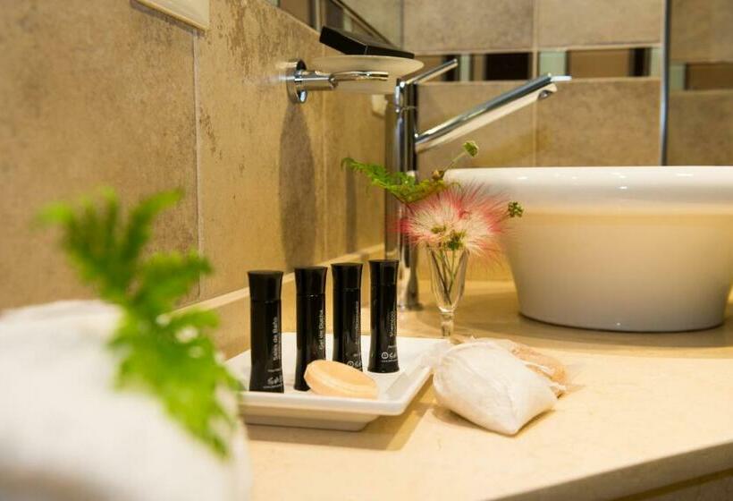 スーペリアールーム, Falls Iguazú Hotel & Spa