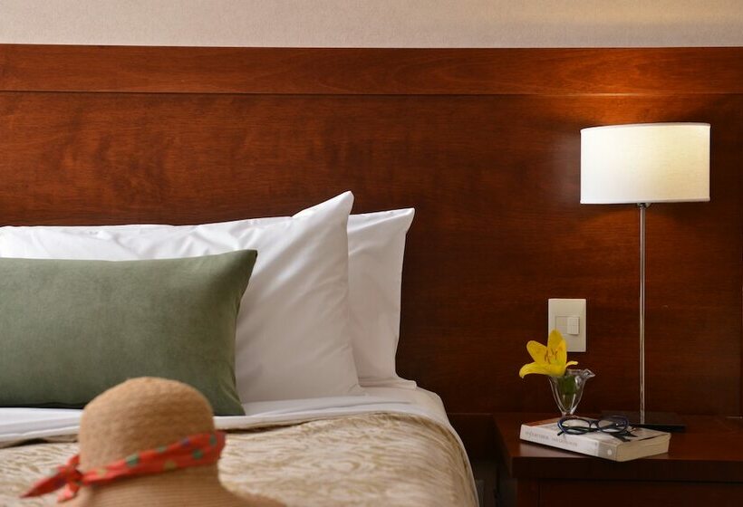 マスタールーム, Falls Iguazú Hotel & Spa