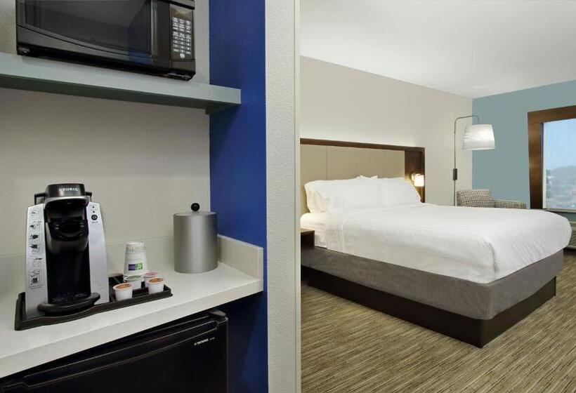 اتاق استاندارد با تخت بزرگ, Holiday Inn Express & Suites Columbus North By Ihg