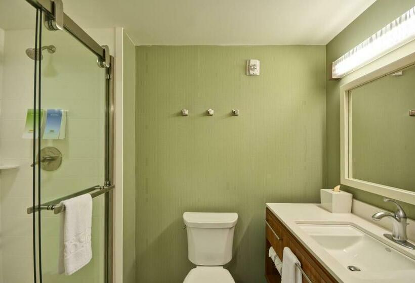 Deluxe Suite King Bed, Home2 Suites By Hilton  St. Simons Island