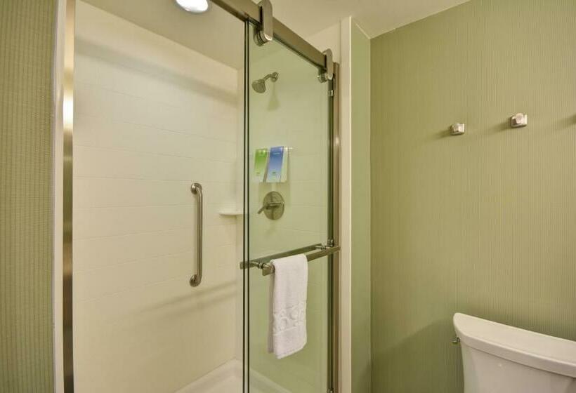 سوئیت با تخت بزرگ, Home2 Suites By Hilton  St. Simons Island