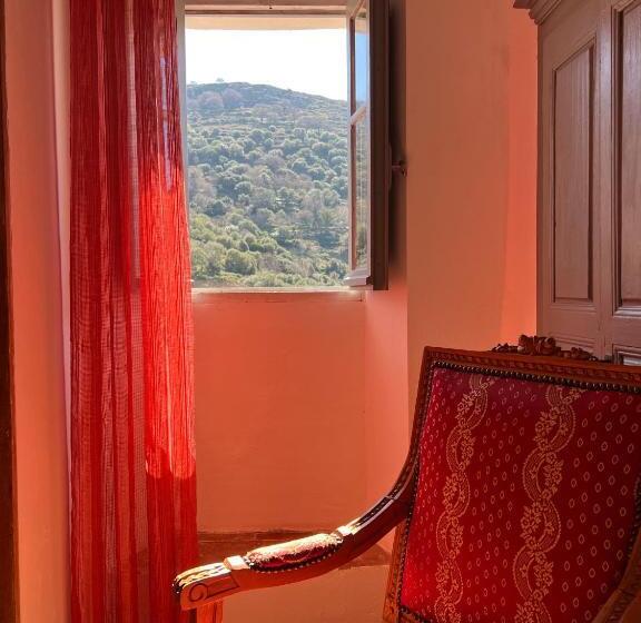 آپارتمان 1 خوابه با تراس, Casa Musicale