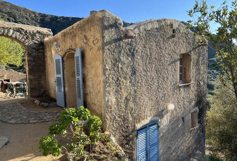 اتاق سوپریور, Casa Musicale