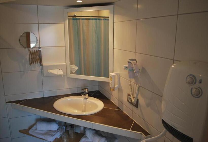 اتاق استاندارد یک نفره, Chambres D'hôtes Les Vignes