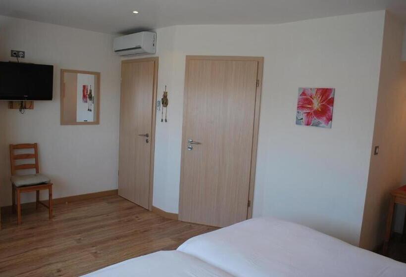 اتاق استاندارد یک نفره, Chambres D'hôtes Les Vignes