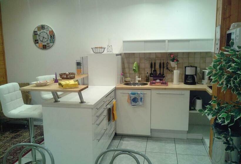 اتاق استاندارد با تخت بزرگ, Le Panorama   Chambres D Hôtes   Cuisine Disponible