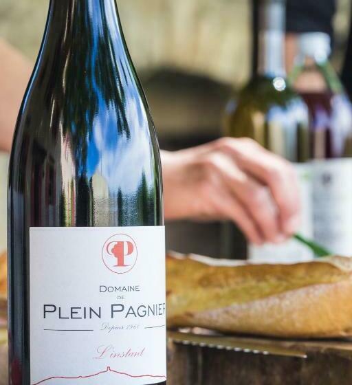 اتاق استاندارد, Le Mas De Plein Pagnier