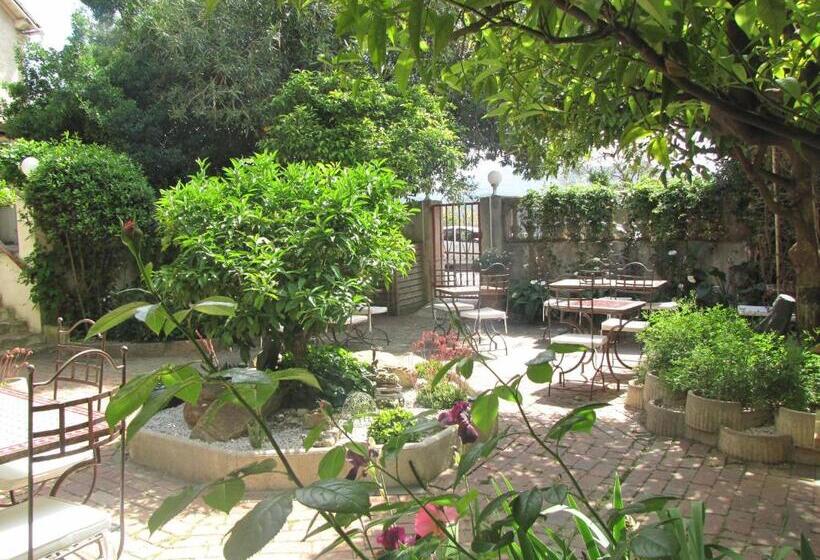 اتاق لوکس با تخت بزرگ, Hôtel Les Orangers