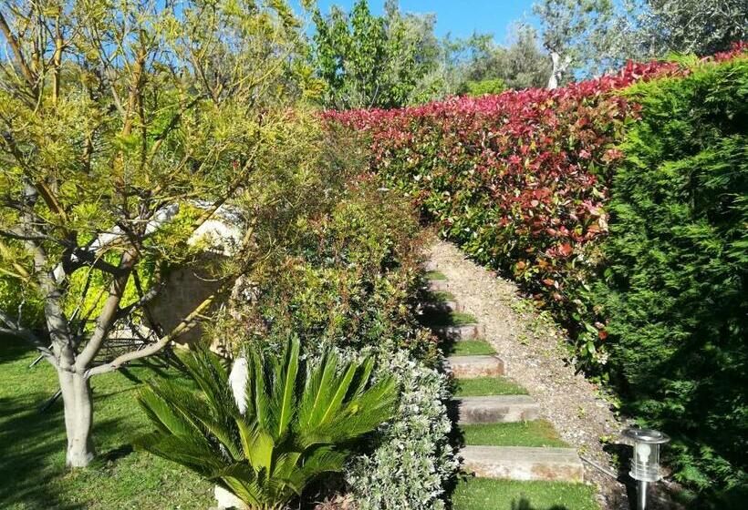 Superior Room with Terrace, Mas De La Coste