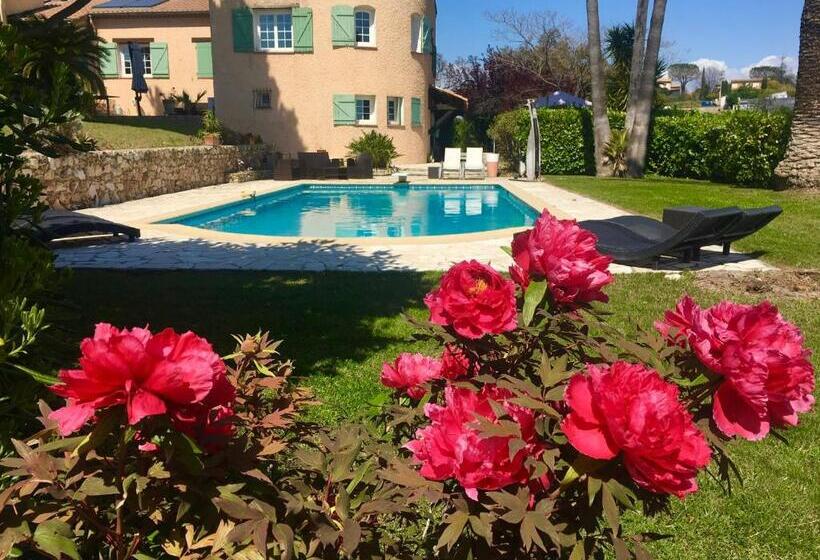 سوئیت با وان آب گرم, Villa Antoline