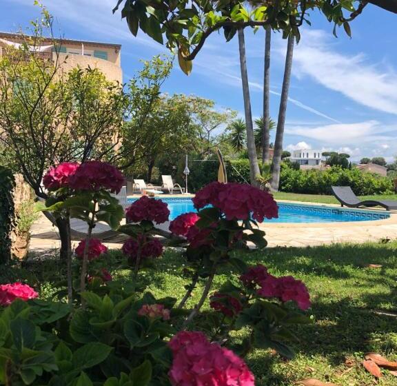 استودیو استاندارد با چشم‌انداز باغ, Villa Antoline