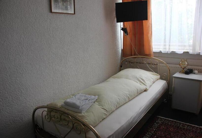 اتاق استاندارد یک تخته با سرویس بهداشتی مشترک, Airport Hotel Zum Taubengrund