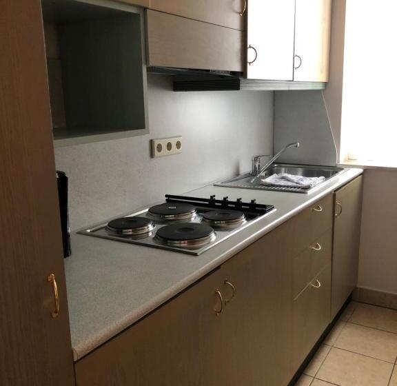 آپارتمان 1 خوابه با چشم‌انداز جانبی دریا, Esplanade & Aparthotel Rialto