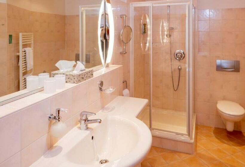 اتاق استاندارد, Harzhotel Zum Prinzen