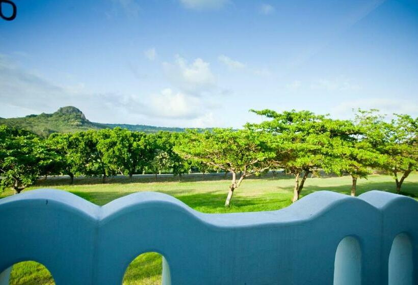 اتاق استاندارد چهار تخته, Millennium Inn