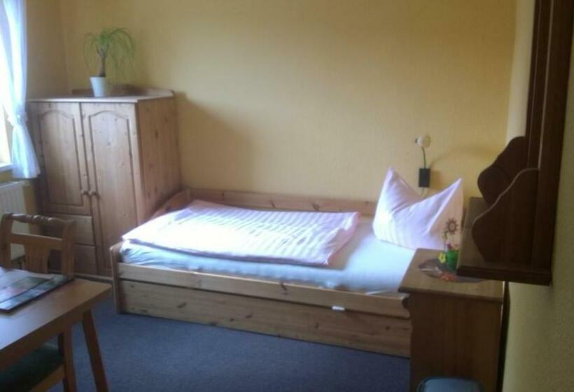 اتاق استاندارد یک نفره, Landhotel Weingut Schulze