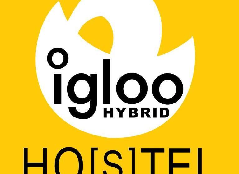 تختخواب در اتاق مشترک, Igloo Hybrid
