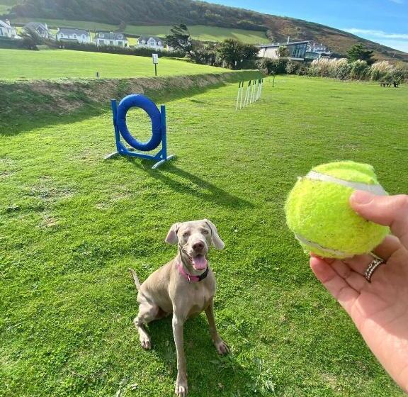 خانه 1 خوابه, Croyde Bay Hotel Or Self Catering