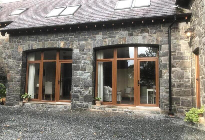 اتاق استاندارد یک نفره, Courtyard Mews Armagh City