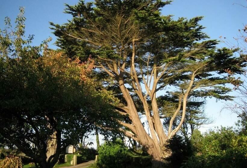 اتاق استاندارد, Trelawne