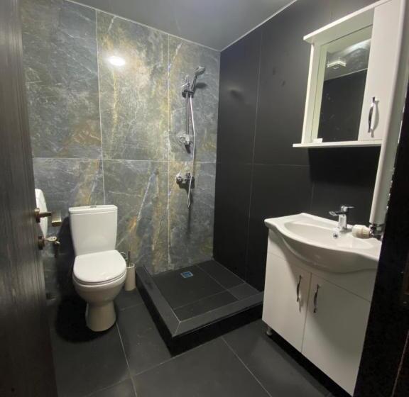 اتاق لوکس با چشم‌انداز شهر, Starhostel