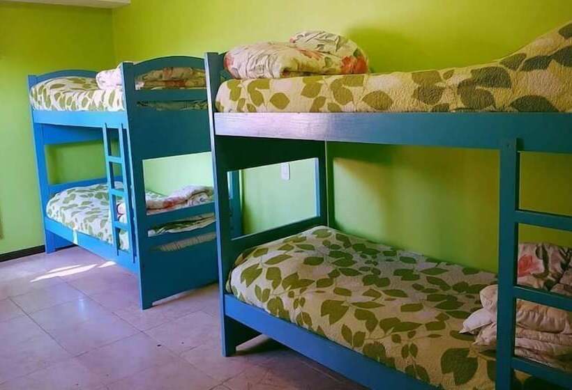 تختخواب در اتاق مشترک, Hostel Iguazu Falls